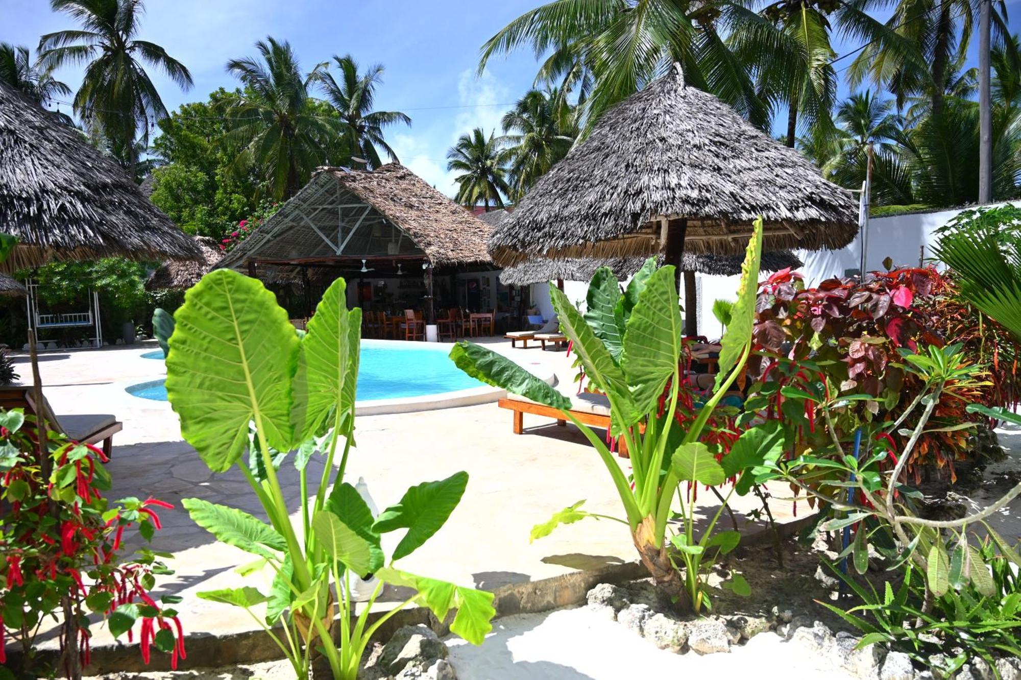 Ananda Villa Zanzibar ブウェワウ エクステリア 写真
